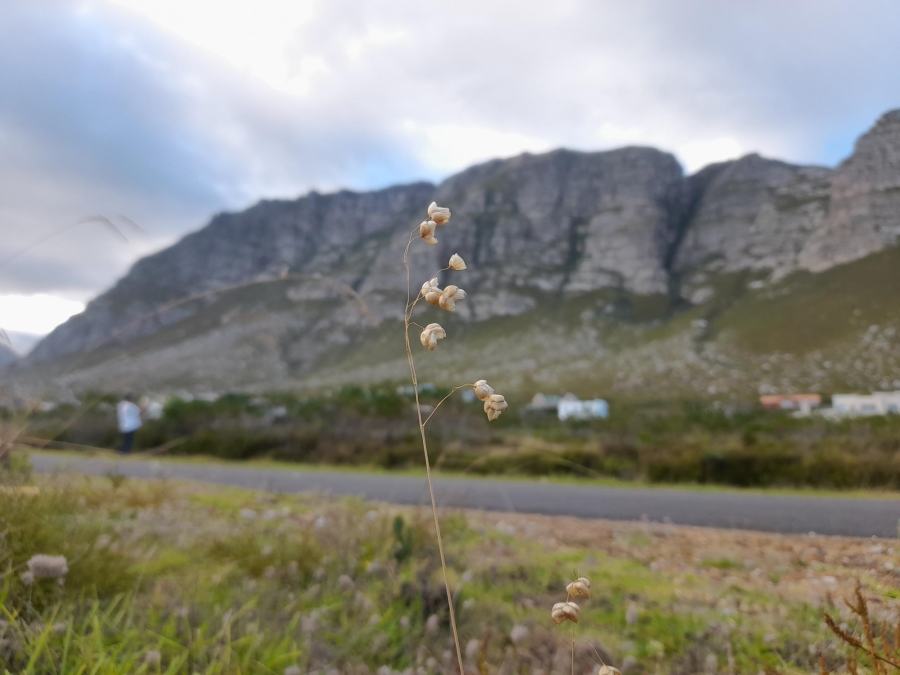 0 Bedroom Property for Sale in Bettys Bay Western Cape